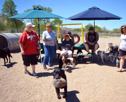 Riverside Dog Park photo 2